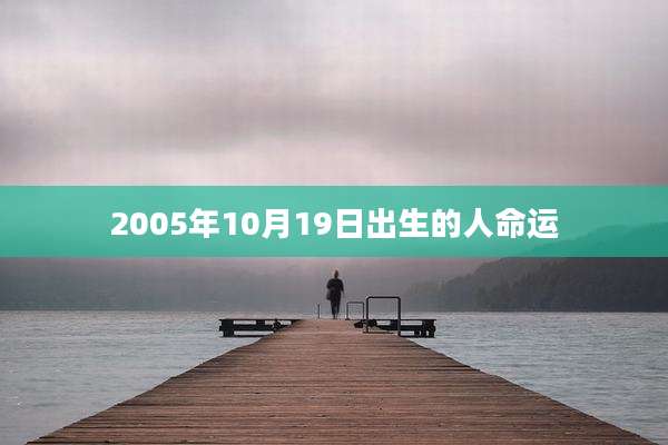 2005年10月19日出生的人命运