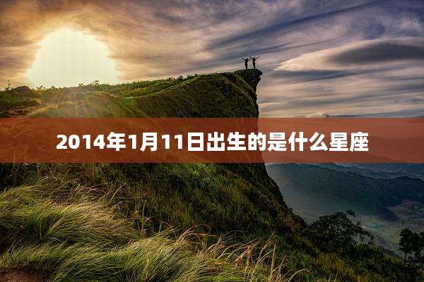 2014年1月11日出生的是什么星座