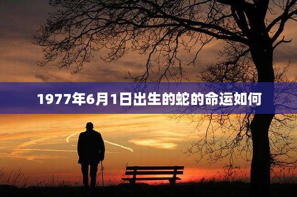 1977年6月1日出生的蛇的命运如何