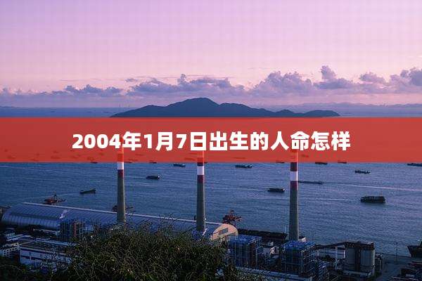 2004年1月7日出生的人命怎样