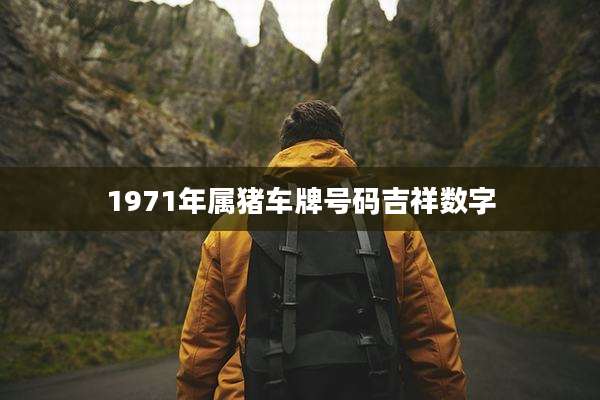 1971年属猪车牌号码吉祥数字
