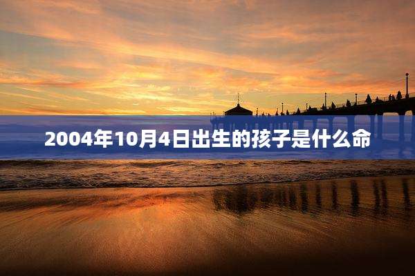 2004年10月4日出生的孩子是什么命
