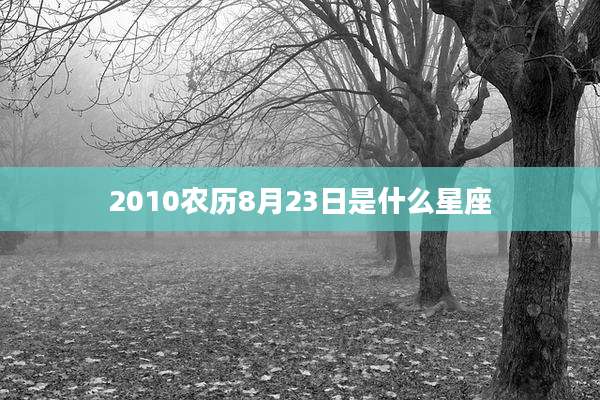 2010农历8月23日是什么星座