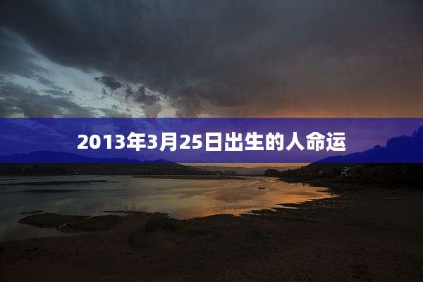 2013年3月25日出生的人命运