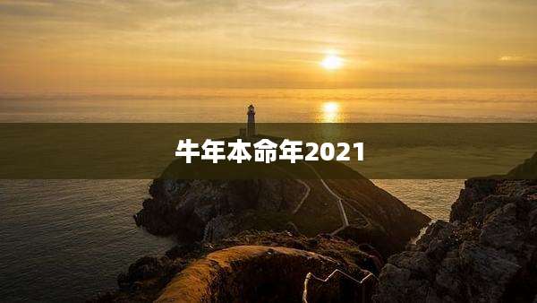 牛年本命年2021