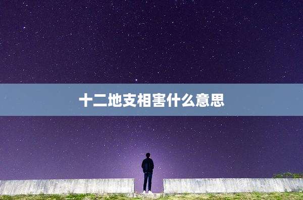十二地支相害什么意思