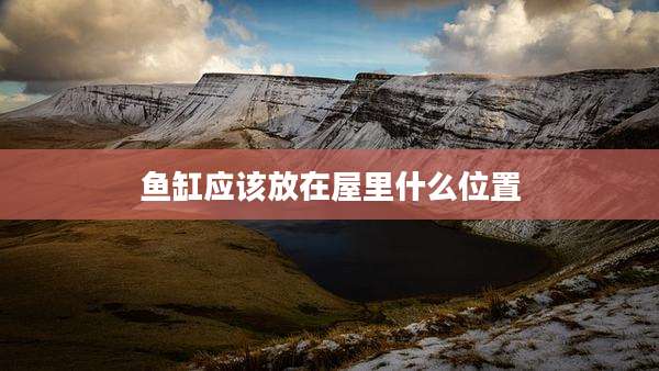 鱼缸应该放在屋里什么位置