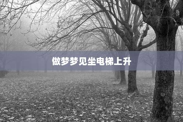 做梦梦见坐电梯上升