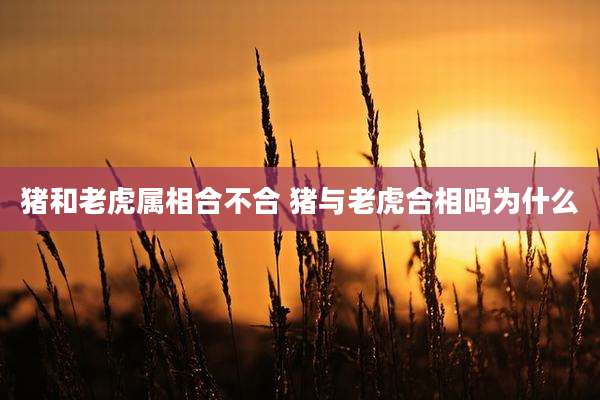 猪和老虎属相合不合 猪与老虎合相吗为什么