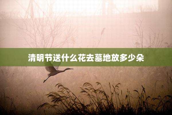 清明节送什么花去墓地放多少朵