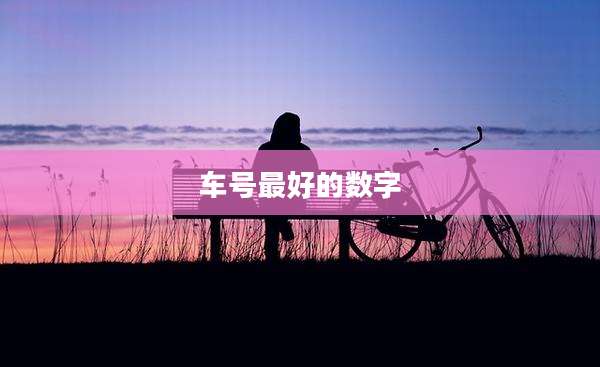 车号最好的数字