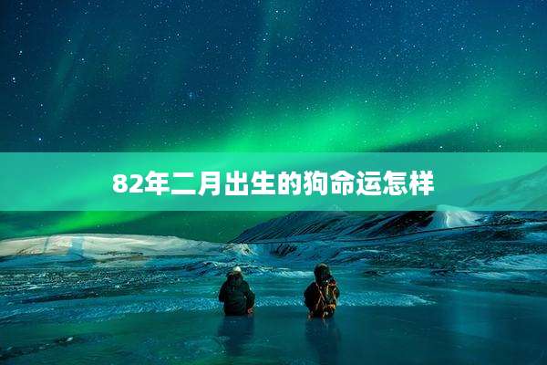 82年二月出生的狗命运怎样