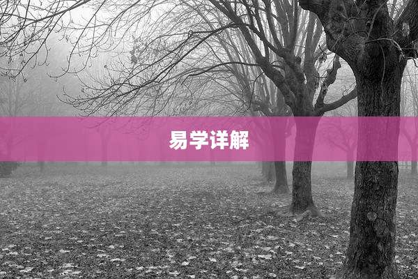 易学详解