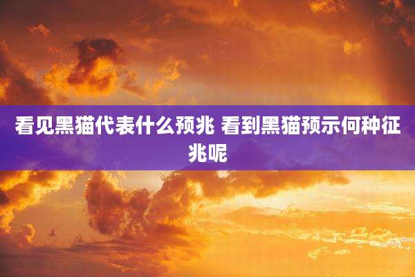 看见黑猫代表什么预兆 看到黑猫预示何种征兆呢