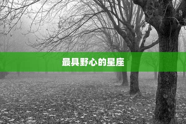 最具野心的星座