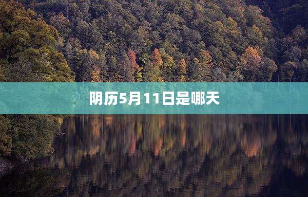 阴历5月11日是哪天