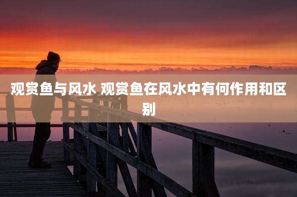 观赏鱼与风水 观赏鱼在风水中有何作用和区别