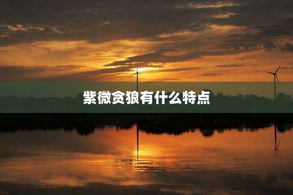 紫微贪狼有什么特点