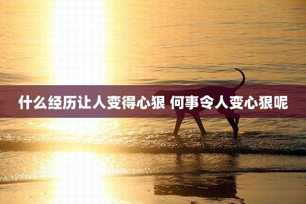 什么经历让人变得心狠 何事令人变心狠呢