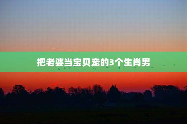 把老婆当宝贝宠的3个生肖男