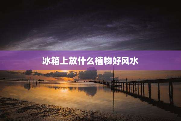 冰箱上放什么植物好风水