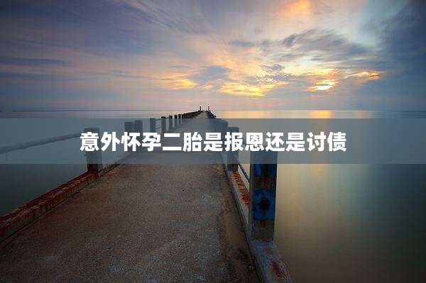 意外怀孕二胎是报恩还是讨债
