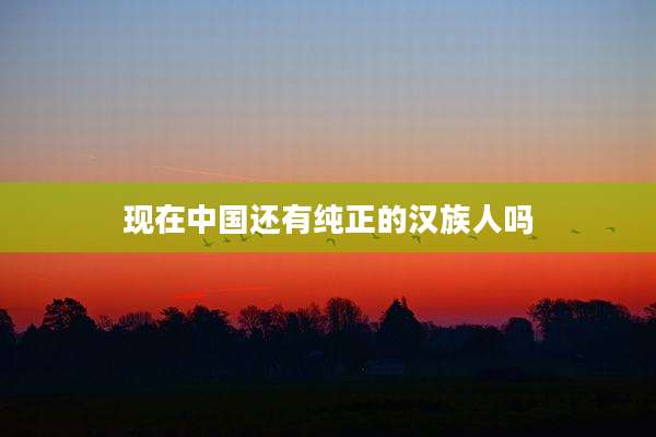 现在中国还有纯正的汉族人吗