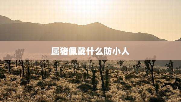 属猪佩戴什么防小人