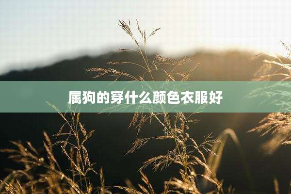 属狗的穿什么颜色衣服好