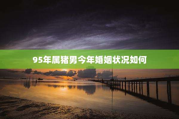 95年属猪男今年婚姻状况如何