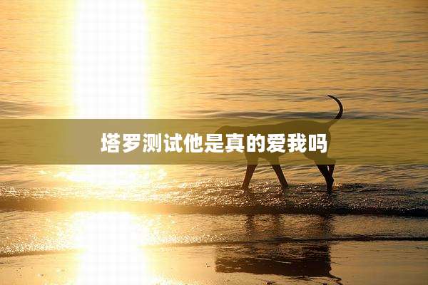 塔罗测试他是真的爱我吗