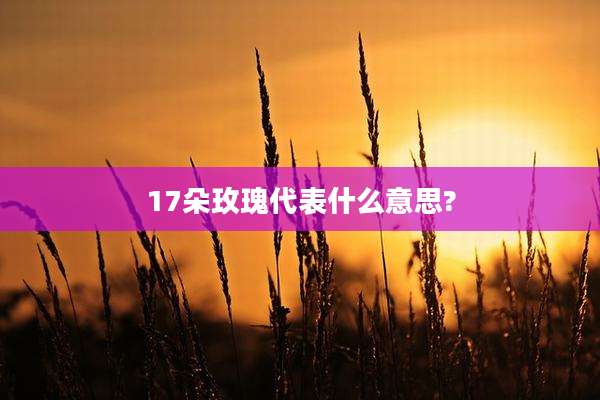 17朵玫瑰代表什么意思?