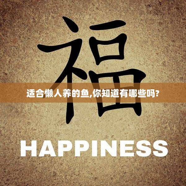 适合懒人养的鱼,你知道有哪些吗?
