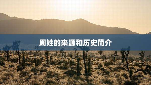 周姓的来源和历史简介