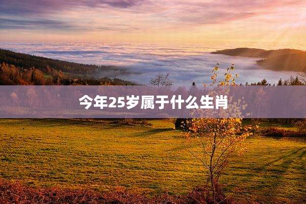 今年25岁属于什么生肖