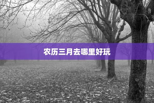 农历三月去哪里好玩