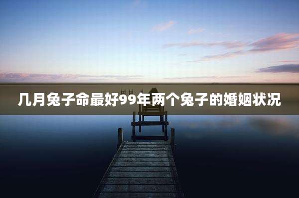 几月兔子命最好99年两个兔子的婚姻状况