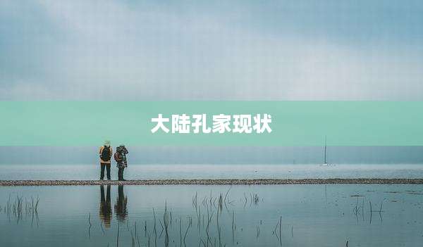 大陆孔家现状