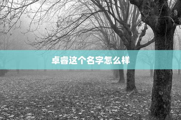 卓睿这个名字怎么样