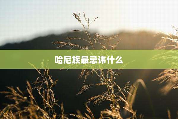 哈尼族最忌讳什么