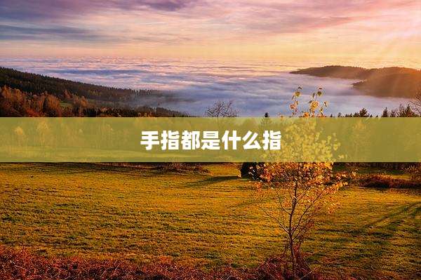 手指都是什么指