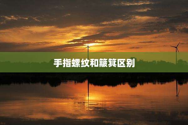 手指螺纹和簸箕区别