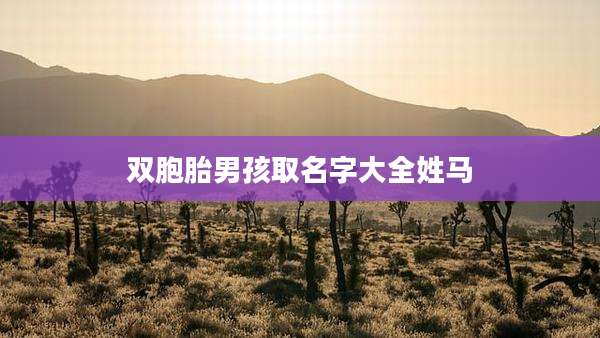 双胞胎男孩取名字大全姓马