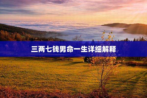 三两七钱男命一生详细解释