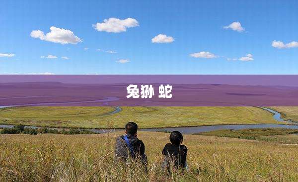 兔狲 蛇