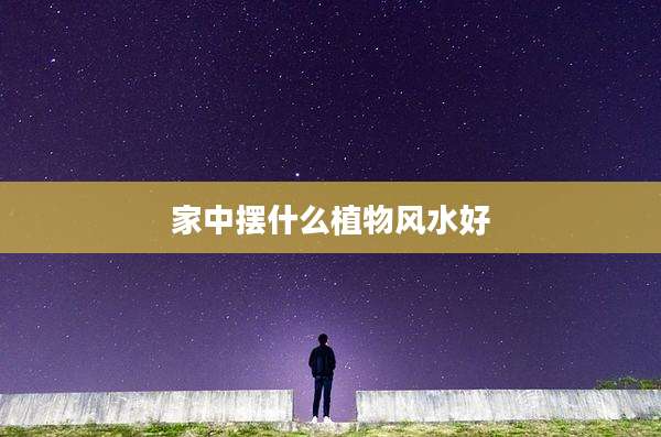 家中摆什么植物风水好