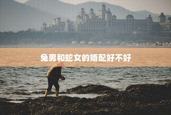 兔男和蛇女的婚配好不好