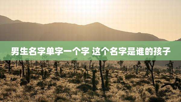 男生名字单字一个字 这个名字是谁的孩子