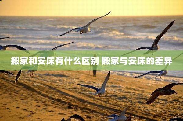 搬家和安床有什么区别 搬家与安床的差异