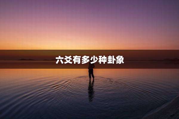 六爻有多少种卦象